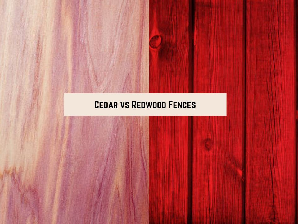 Cedar vs Redwood Fences