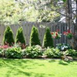 What to Plant along a Fence?