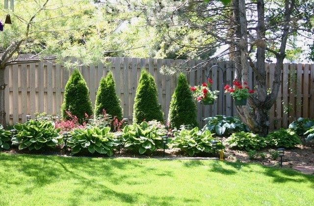 What to Plant along a Fence?