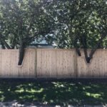 Fence Around the Property Line