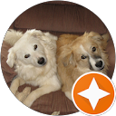 Stephen Hodge profile picture