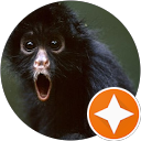 Jarrod Bailey profile picture